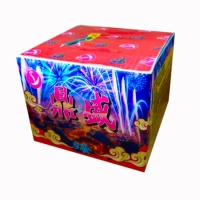 鼎盛(9發)