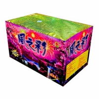 風之彩(扇形28發)